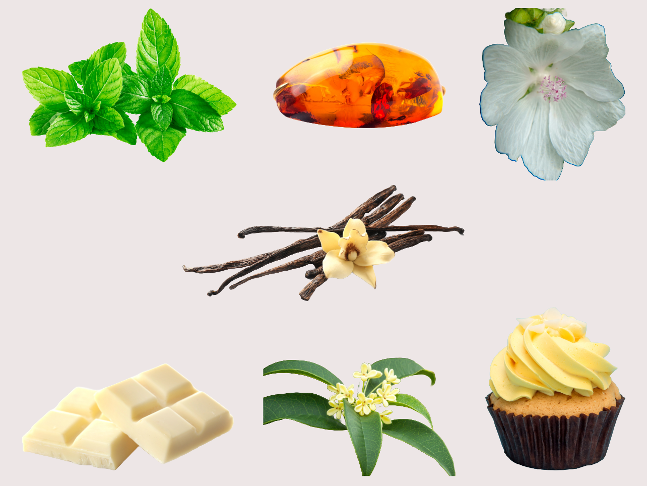 Vanilla Mint (Wonky candles)